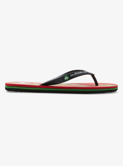 Molokai Art - Beach Flip-Flops for Men  AQYL101360