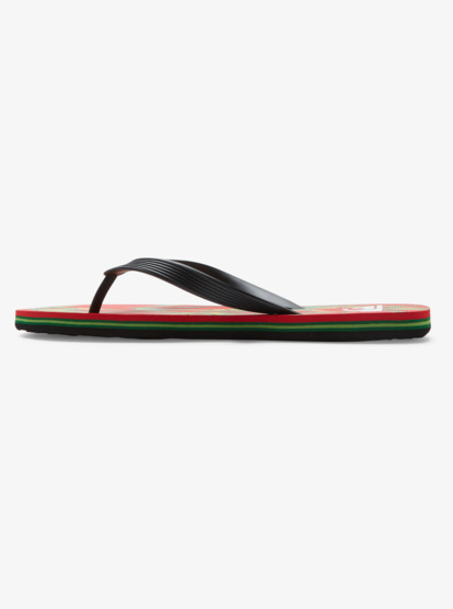 Molokai Art - Beach Flip-Flops for Men  AQYL101360