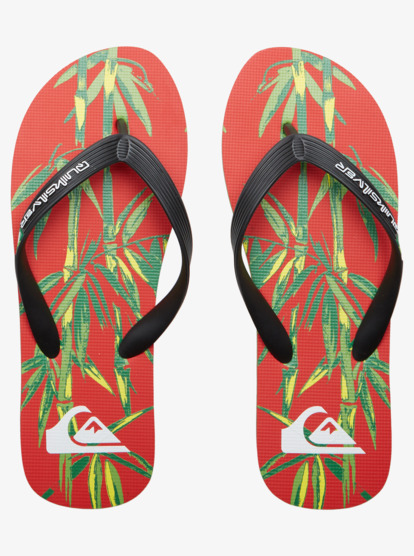 Molokai Art - Beach Flip-Flops for Men  AQYL101360