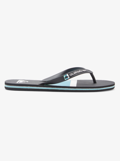 Molokai Stripe - Beach Flip-Flops for Men  AQYL101361