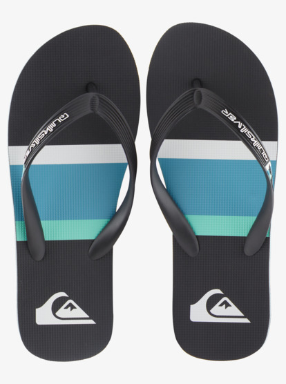 Molokai Stripe - Beach Flip-Flops for Men  AQYL101361