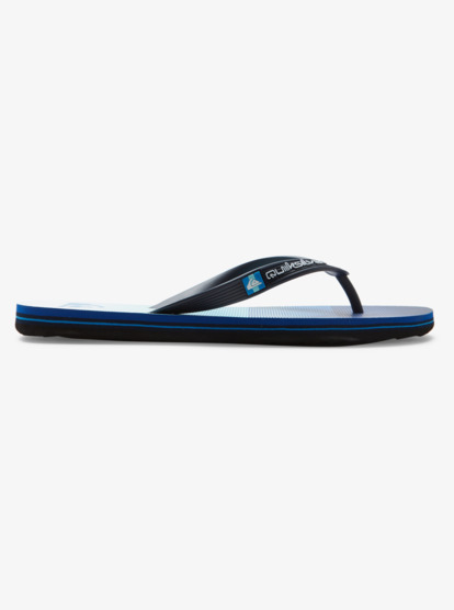 Molokai Stripe - Beach Flip-Flops for Men  AQYL101361