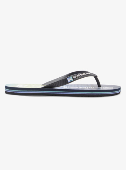 Molokai Stripe - Beach Flip-Flops for Men  AQYL101361