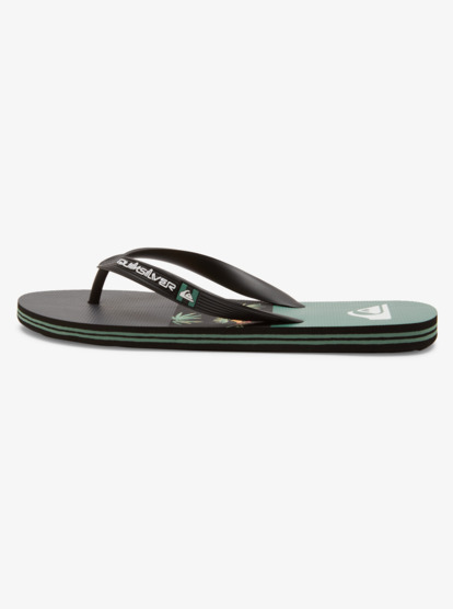 Molokai Stripe - Beach Flip-Flops for Men  AQYL101361