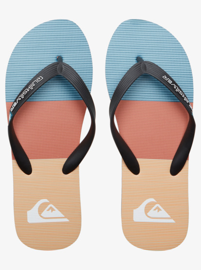 Molokai Stripe - Beach Flip-Flops for Men  AQYL101361