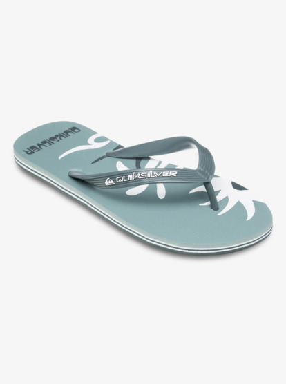 Molokai Screen - Flip-Flops for Men  AQYL101427