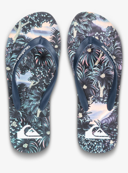 quiksilver, Molokai Art 25 - Flip-Flops for Men, INDIA INK HIDDEN GEM (ksh3) Molokai Art 25 - Flip-Flops for Men  AQYL101430