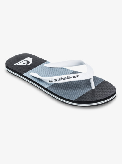 Molokai Art 25 - Flip-Flops for Men  AQYL101430