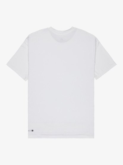 DNA Surf  AQYWR03138