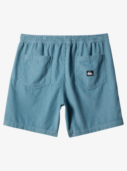 Taxer Cord - Corduroy Walk Shorts for Men  AQYWS03235