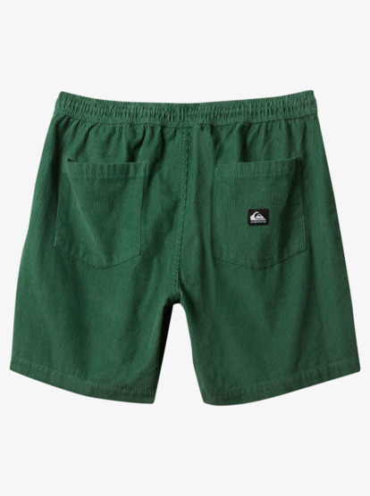 Taxer Cord - Corduroy Walk Shorts for Men  AQYWS03235