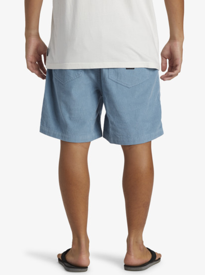 Taxer Cord - Corduroy Walk Shorts for Men  AQYWS03235