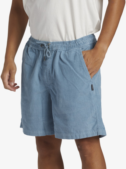 Taxer Cord - Corduroy Walk Shorts for Men  AQYWS03235