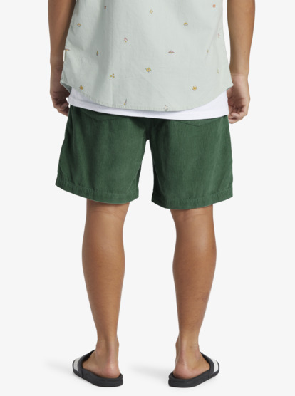 Taxer Cord - Corduroy Walk Shorts for Men  AQYWS03235