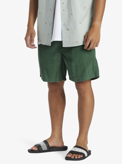 Taxer Cord - Corduroy Walk Shorts for Men  AQYWS03235