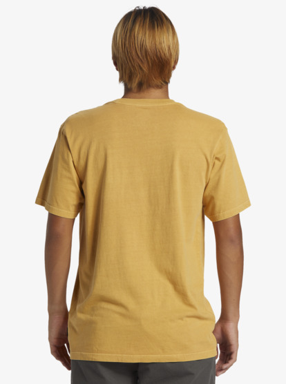 Saltwater  AQYZT09558