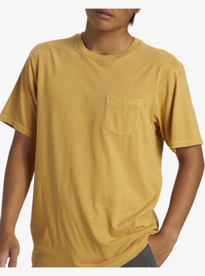 Saltwater  AQYZT09558