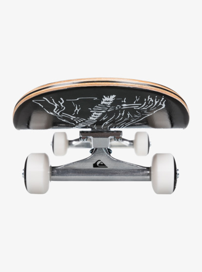 Dramons 8.25" - Complete Skateboard for Men  EGL021DM82