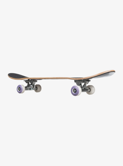 Flashback 8.25" - Complete Skateboard for Men  EGL22FBK82