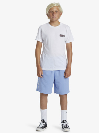 NWT boys quicksilver on sale shorts bundle