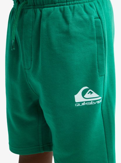 Easy Day - Elastic Waist Shorts for Boys 8 - 16  EQBFB03174