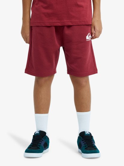 Easy Day - Elastic Waist Shorts for Boys 8 - 16  EQBFB03174