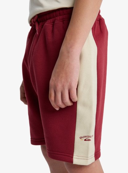 Knowledge Area - Sweat Shorts for Boys 8-16  EQBFB03183