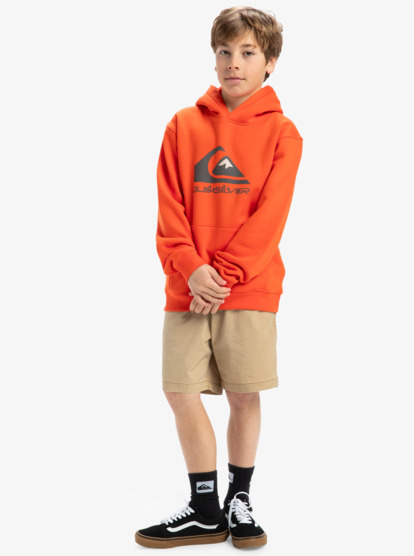 Big Logo - Pullover Hoodie for Boys 8 - 16  EQBFT03925