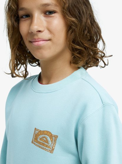 Graphic - Sweatshirt for Boys 8-16  EQBFT03980