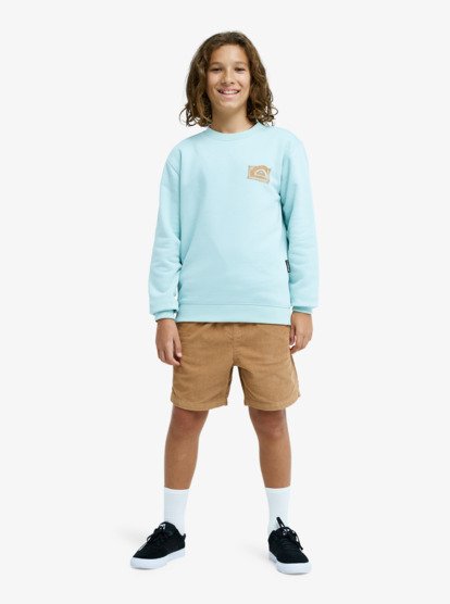 Graphic - Sweatshirt for Boys 8-16  EQBFT03980