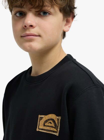 Graphic - Sweatshirt for Boys 8-16  EQBFT03980