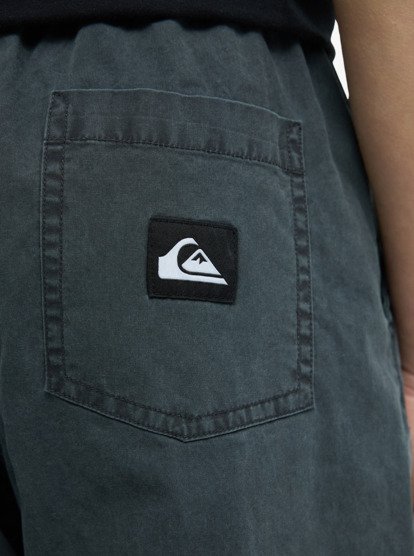 Taxer - Straight Fit Pants for Boys 8 - 16  EQBNP03128