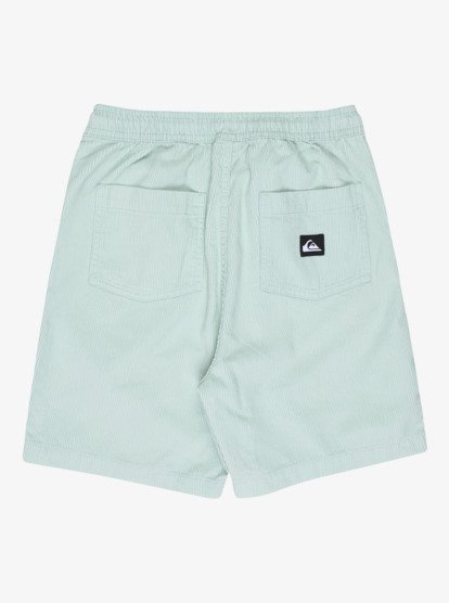 Taxer - Elastic Waist Walkshorts for Boys 8 - 16  EQBWS03371