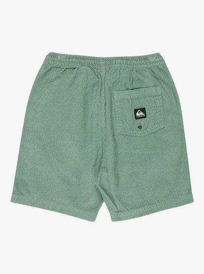 Taxer - Elastic Waist Walkshorts for Boys 8 - 16  EQBWS03371