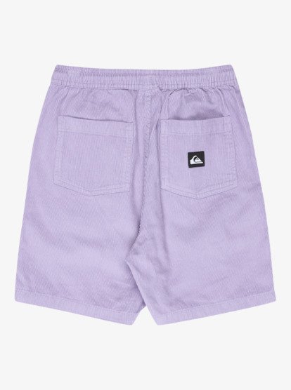 Taxer - Elastic Waist Walkshorts for Boys 8 - 16  EQBWS03371