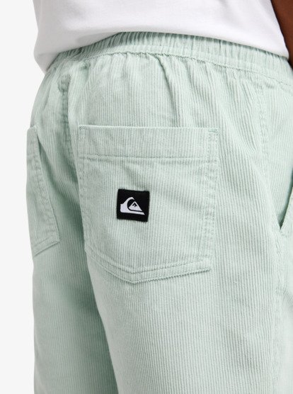 Taxer - Elastic Waist Walkshorts for Boys 8 - 16  EQBWS03371