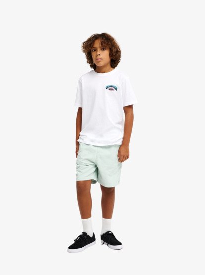 Taxer - Elastic Waist Walkshorts for Boys 8 - 16  EQBWS03371