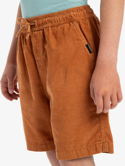 Taxer - Elastic Waist Walkshorts for Boys 8 - 16  EQBWS03371