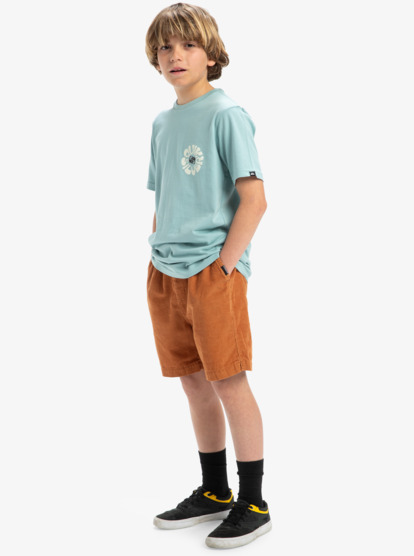 Taxer - Elastic Waist Walkshorts for Boys 8 - 16  EQBWS03371