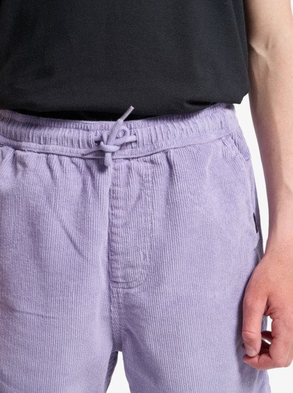 Taxer - Elastic Waist Walkshorts for Boys 8 - 16  EQBWS03371