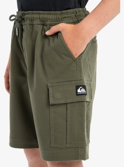 Taxer - Cargo Walkshorts for Boys 8 - 16  EQBWS03372