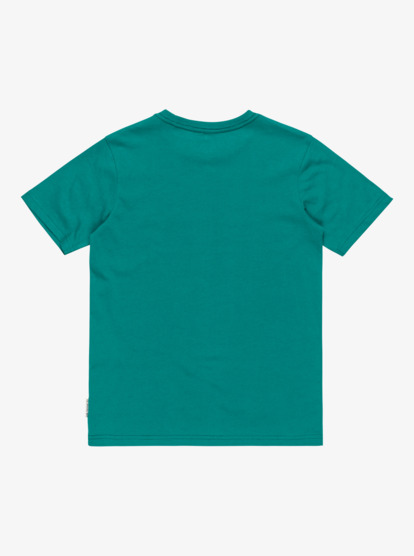 Basic - Short Sleeve T-Shirt for Boys 8-16  EQBZT04746