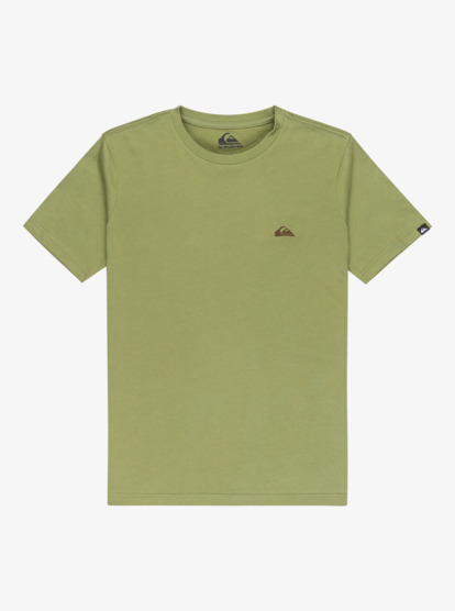 Basic - T-Shirt for Boys 8-16  EQBZT04746