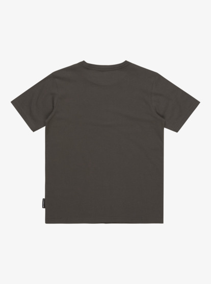 Basic - T-Shirt for Boys 8-16  EQBZT04746