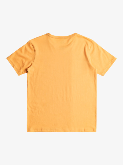 Basic - T-Shirt for Boys 8-16  EQBZT04746