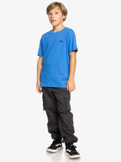 Basic - Short Sleeve T-Shirt for Boys 8-16  EQBZT04746