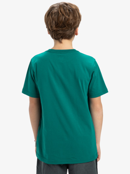 Basic - T-Shirt for Boys 8-16  EQBZT04746