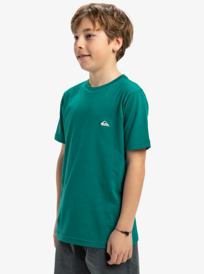 Basic - T-Shirt for Boys 8-16  EQBZT04746