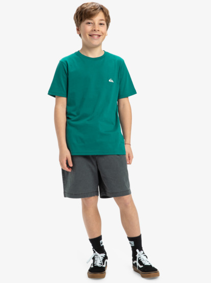 Basic - T-Shirt for Boys 8-16  EQBZT04746