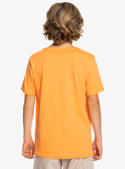 Basic - Short Sleeve T-Shirt for Boys 8-16  EQBZT04746